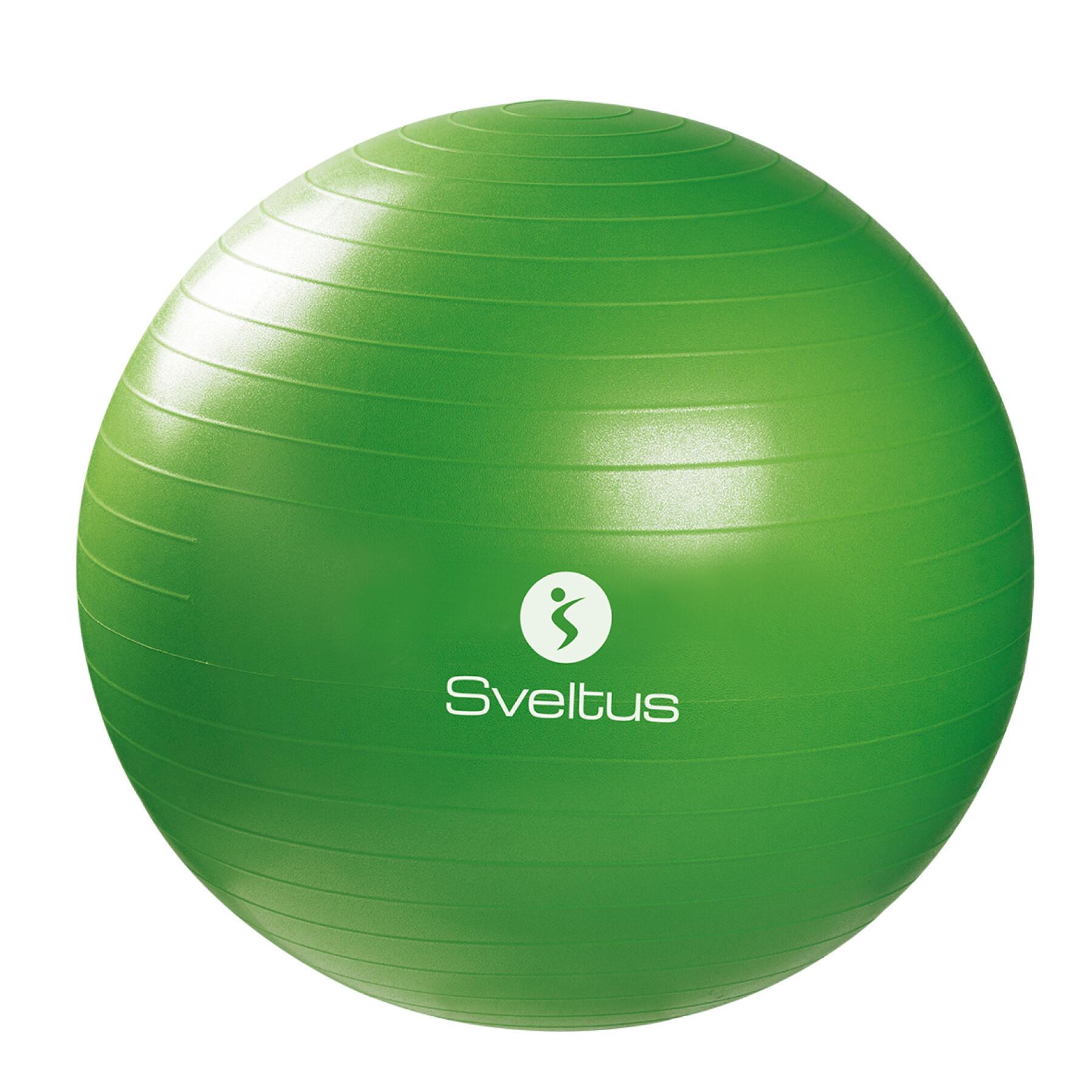 Gymball + caixa Sveltus 65cm