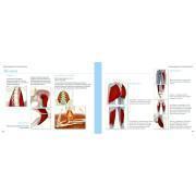 Livro anatomia yoga - Músculos Hachette